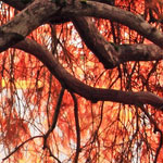 轰炸别人手机号码软件