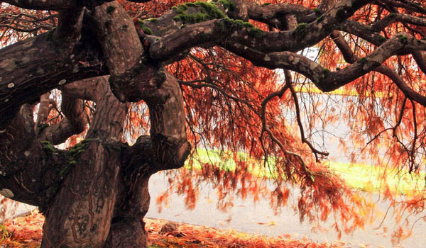 免费用虚拟号码发短信